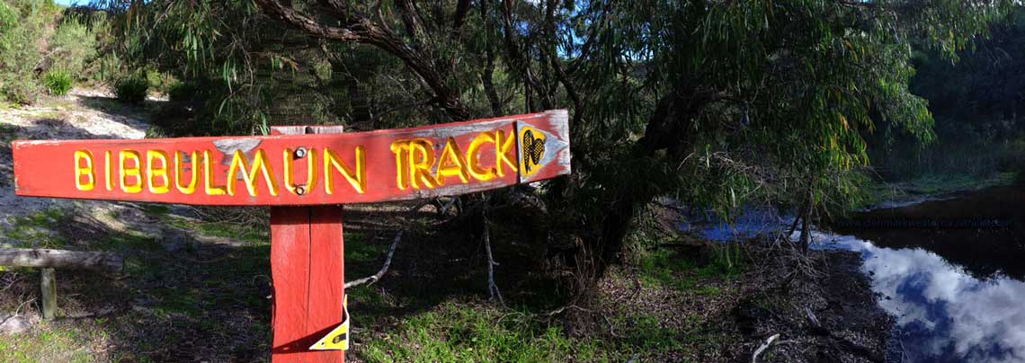 Bibbulmun Track Forest Walk