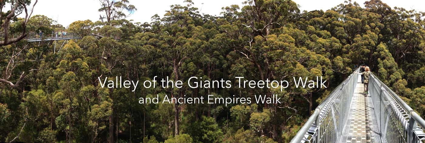 Valley of the Giants Treetop Walk, Denmark Western Australia